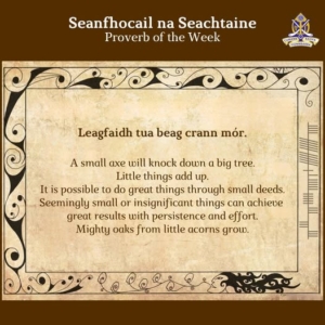 Proverb of the Week: Small Deeds, Big Impact – Leagfaidh tua beag crann mór