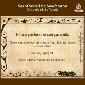 Proverb of the Week: Níl saoi gan locht ná daoí gan tréith – Wisdom & Imperfection