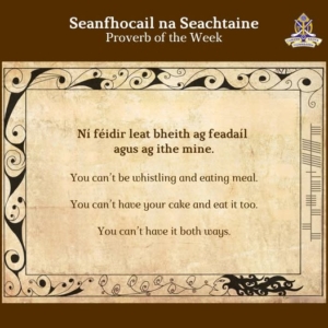 SeanFhocal na Seachtaine – Lessons on Choices and Balance