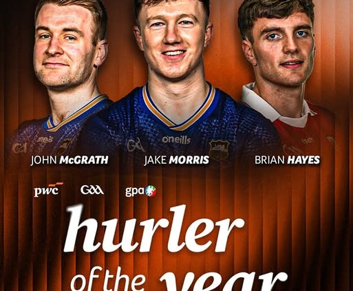 Hurler of the year nominees 2025